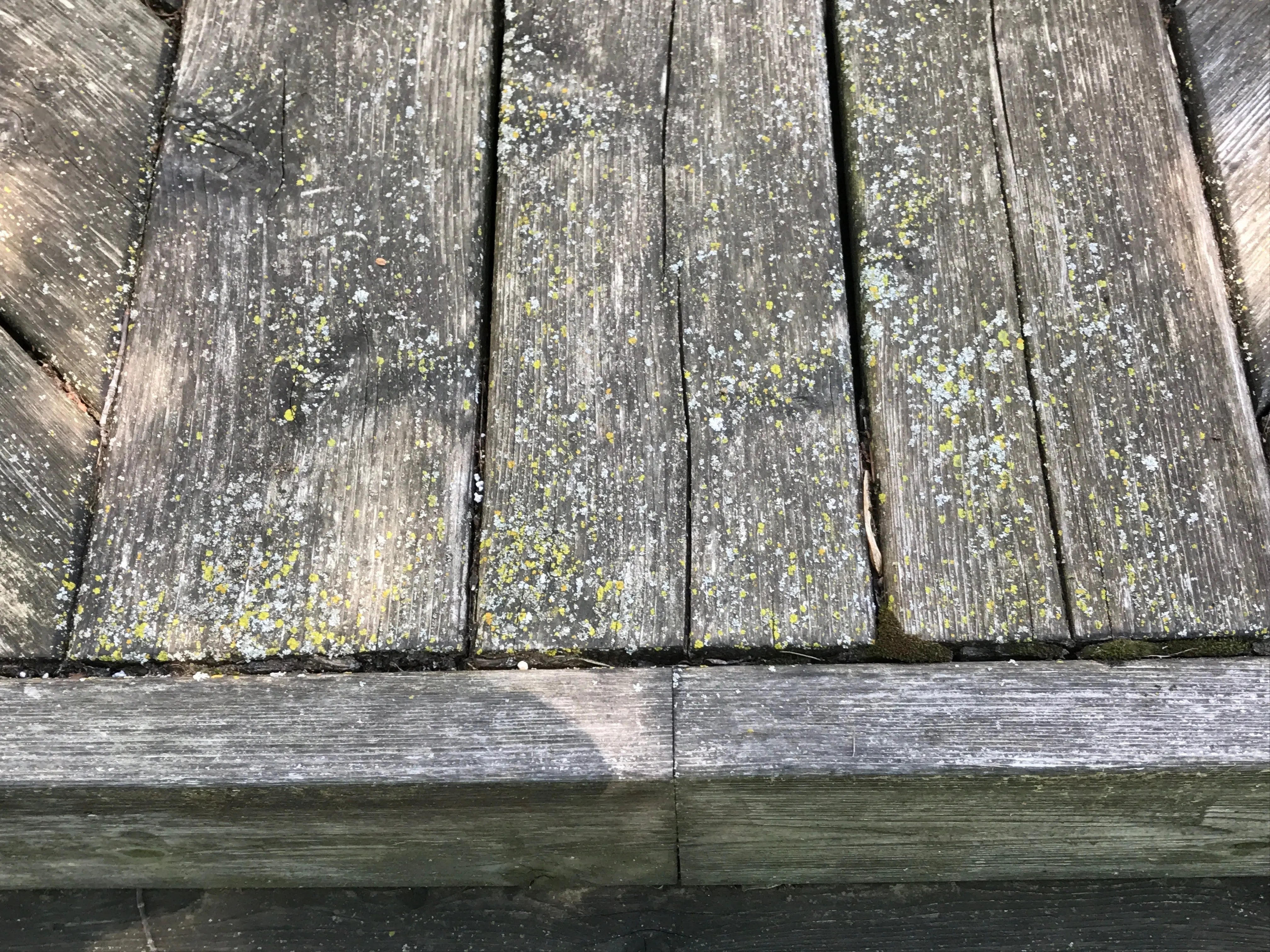 Wood Reviver Power Gel Osmo Canada
